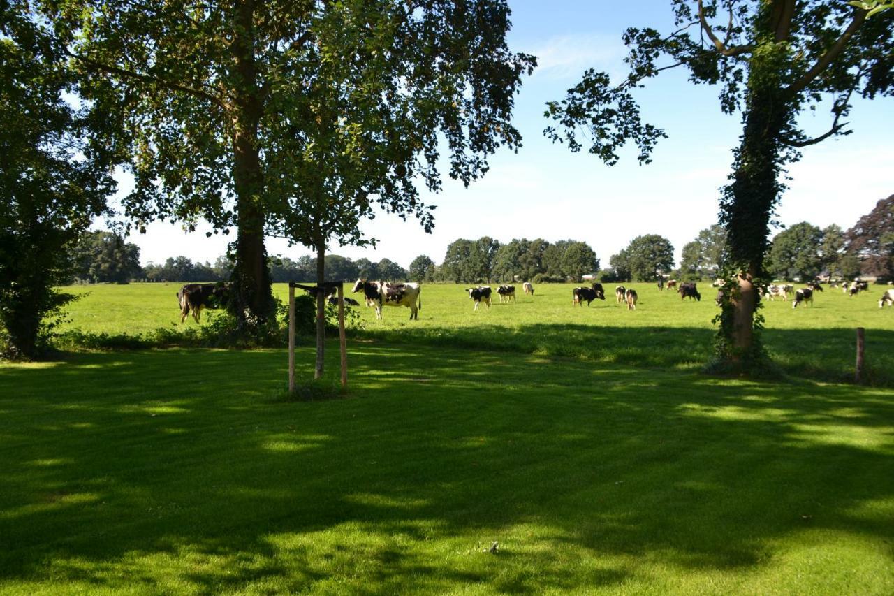 Op De Kuyerlatten Zwolle  Exteriör bild